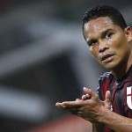 bacca