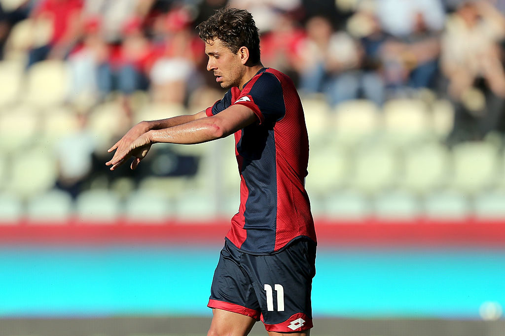 Cerci