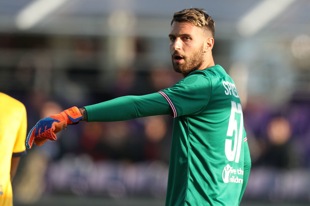 ACF Fiorentina v Hellas Verona FC - Serie A