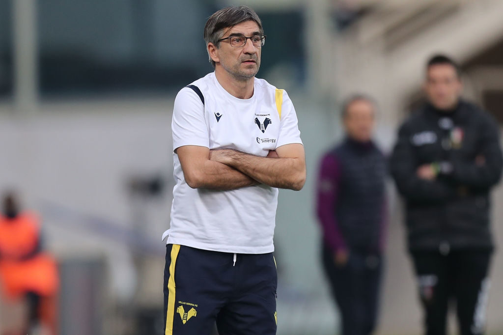 ACF Fiorentina v Hellas Verona FC - Serie A