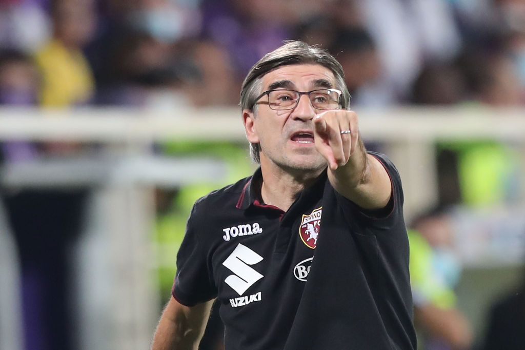 ACF Fiorentina v Torino FC - Serie A