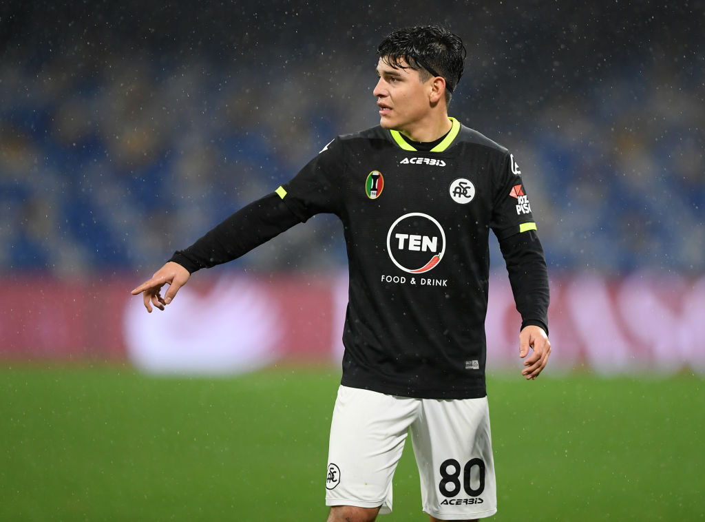SSC Napoli v Spezia Calcio - Serie A