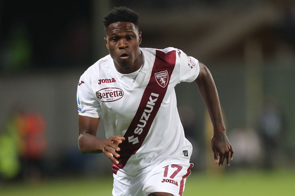 ACF Fiorentina v Torino FC - Serie A