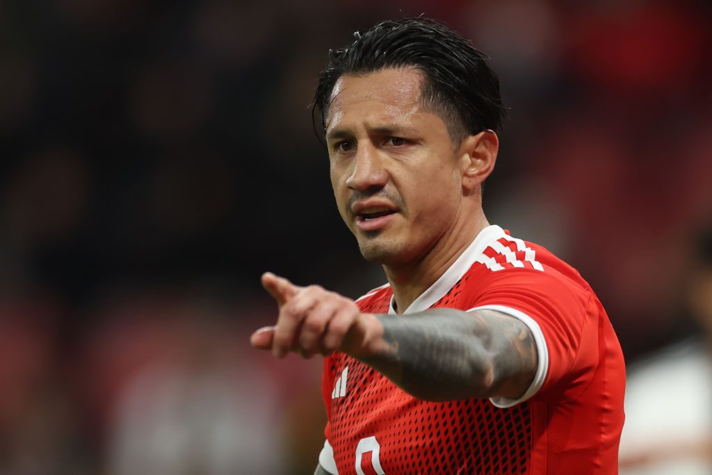Germany v Peru - International Friendly