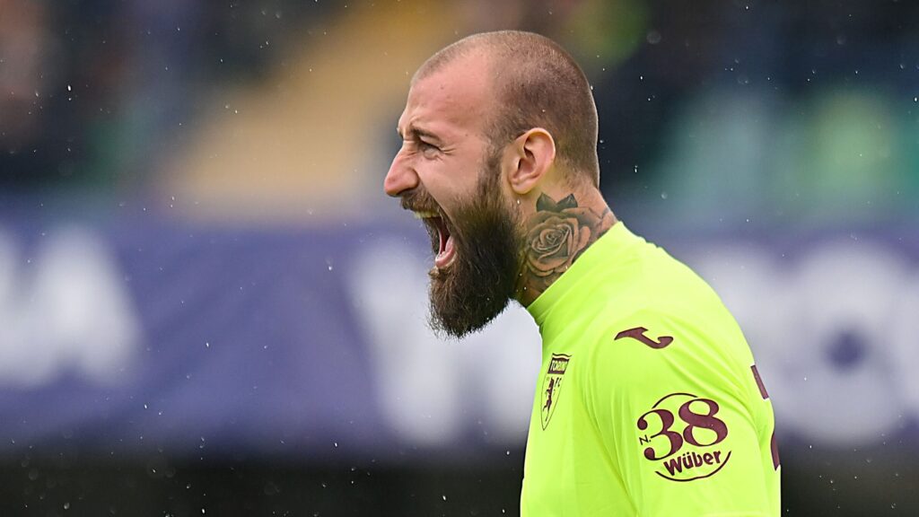 Hellas Verona v Torino FC - Serie A