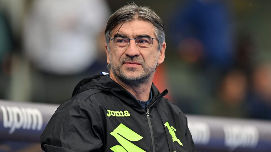 Hellas Verona v Torino FC - Serie A