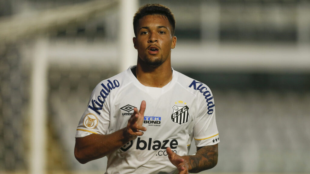 Santos v Botafogo - Brasileirao 2023