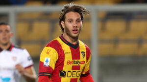 Gallo 2 (1)