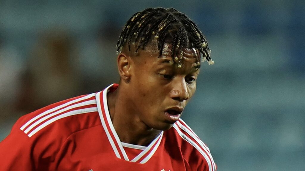 SL Benfica v RC Celta de Vigo - Pre-Season Friendly