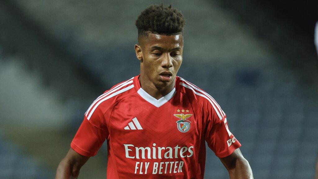 Benfica v Fulham - Pre-Season Friendly