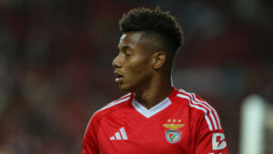Benfica v Fulham - Pre-Season Friendly