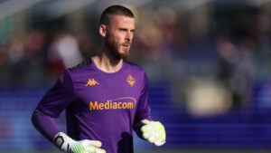 Fiorentina v Verona - Serie A