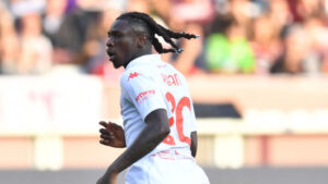 Torino v Fiorentina - Serie A