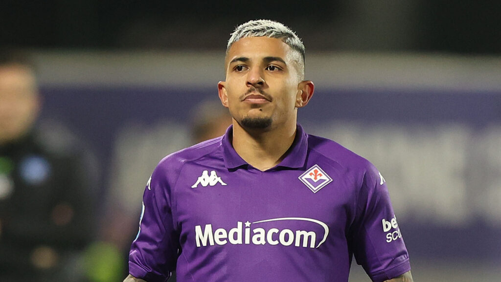 Fiorentina v Napoli - Serie A