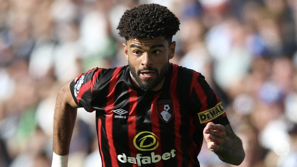 Brighton &amp; Hove Albion v AFC Bournemouth - Premier League