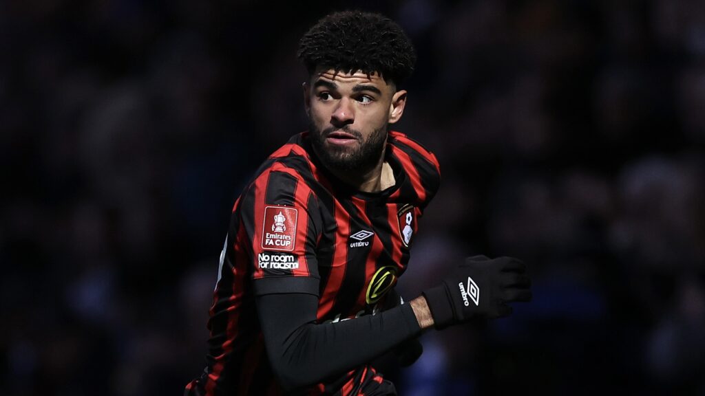 Queens Park Rangers v AFC Bournemouth  - Emirates FA Cup Third Round