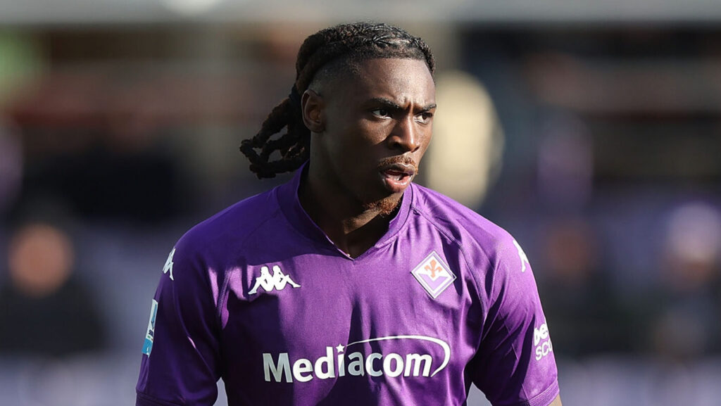 Fiorentina v Torino - Serie A