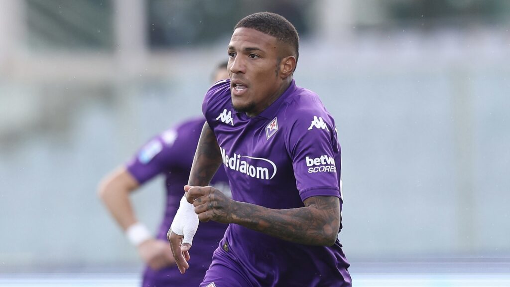 Fiorentina v Torino - Serie A