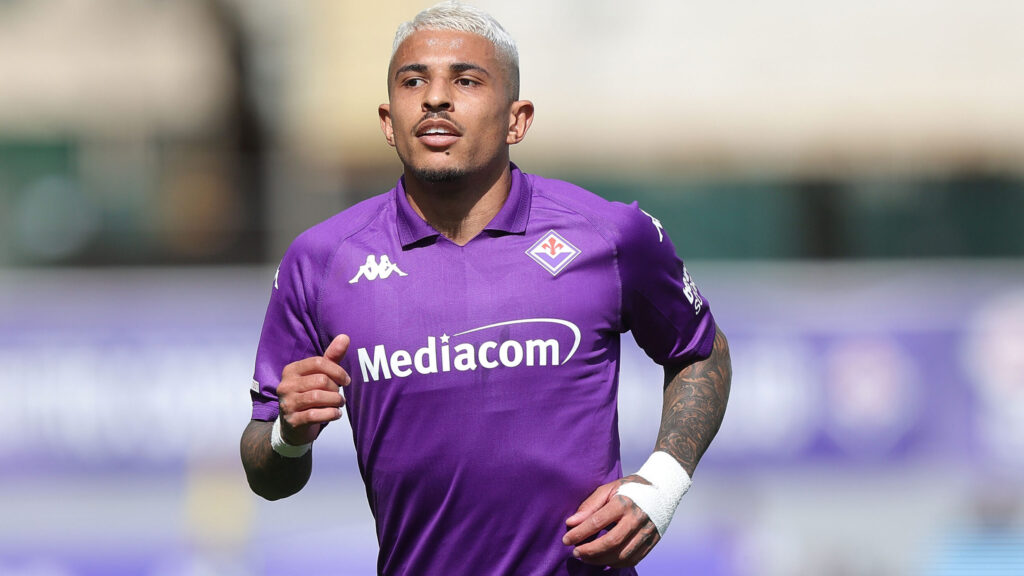 Fiorentina v Atalanta - Serie A