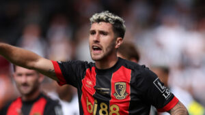AFC Bournemouth v Newcastle United FC - Premier League