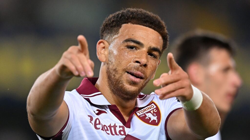 Verona v Torino - Serie A