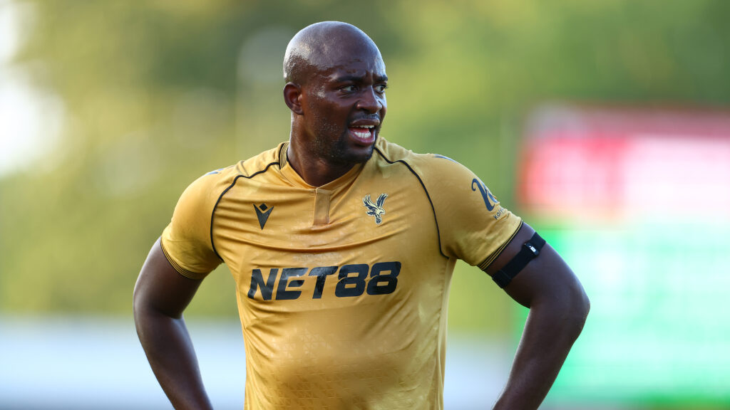 Crawley Town v Crystal Palace - Pre-Season Friendly