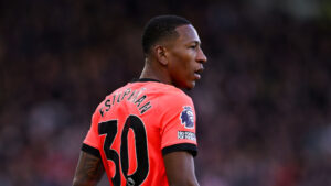 Fulham FC v Brighton &amp; Hove Albion - Premier League