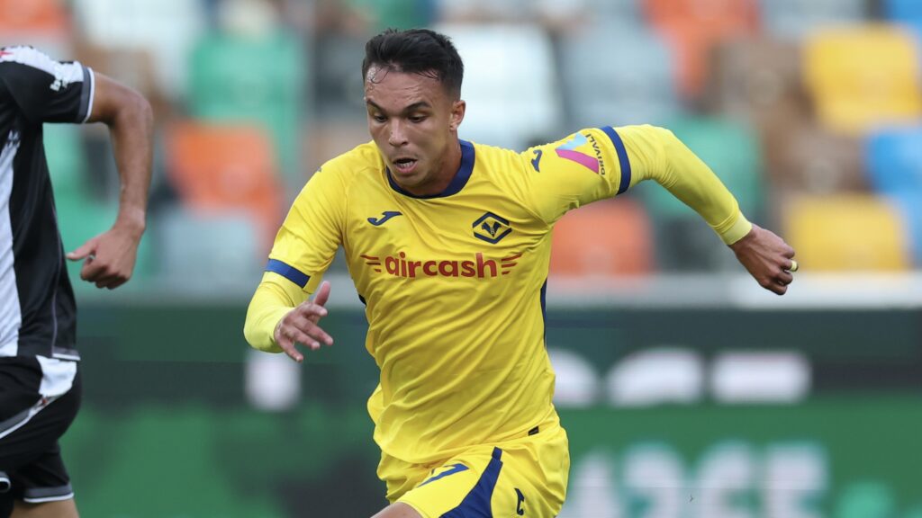 Udinese Calcio v Hellas Verona FC - Serie A