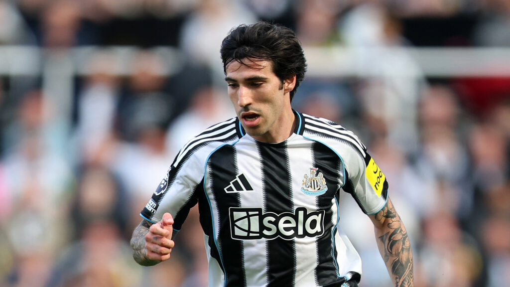 Newcastle United FC v Everton FC - Premier League