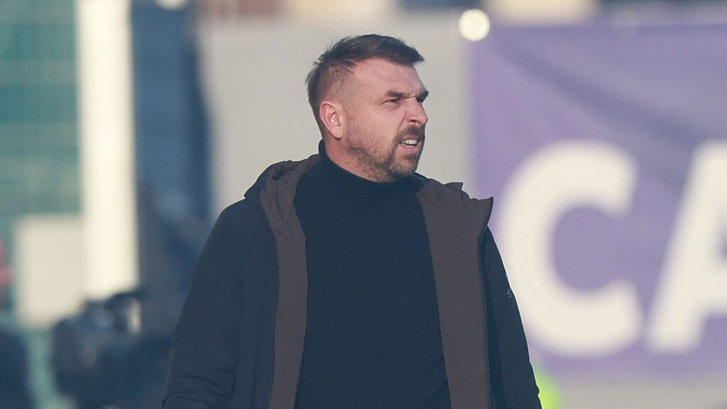 ACF Fiorentina v Hellas Verona FC - Serie A