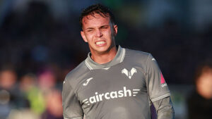 ACF Fiorentina v Hellas Verona FC - Serie A