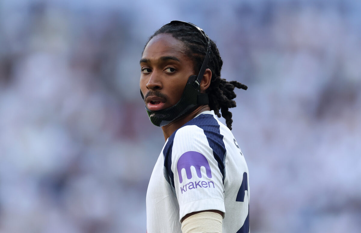 Tottenham Hotspur v Everton - Premier League