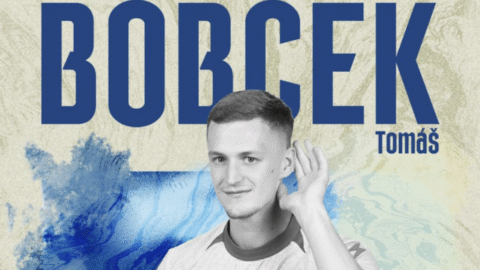 Bobcek