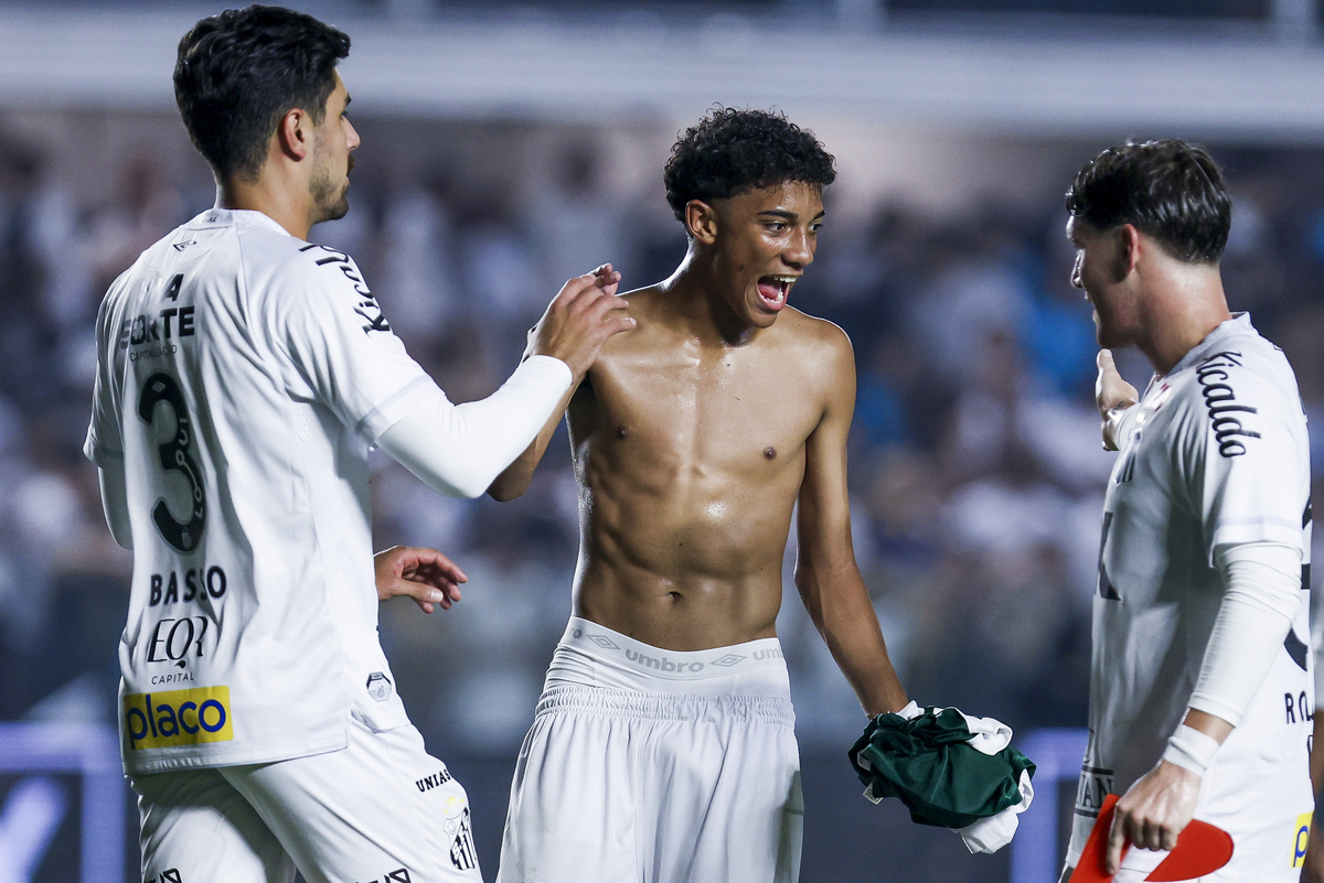 Santos v Palmeiras - Brasileirao 2025