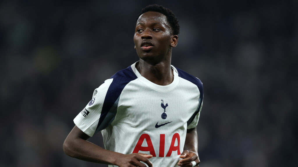 Tottenham Hotspur v Crystal Palace - Premier League
