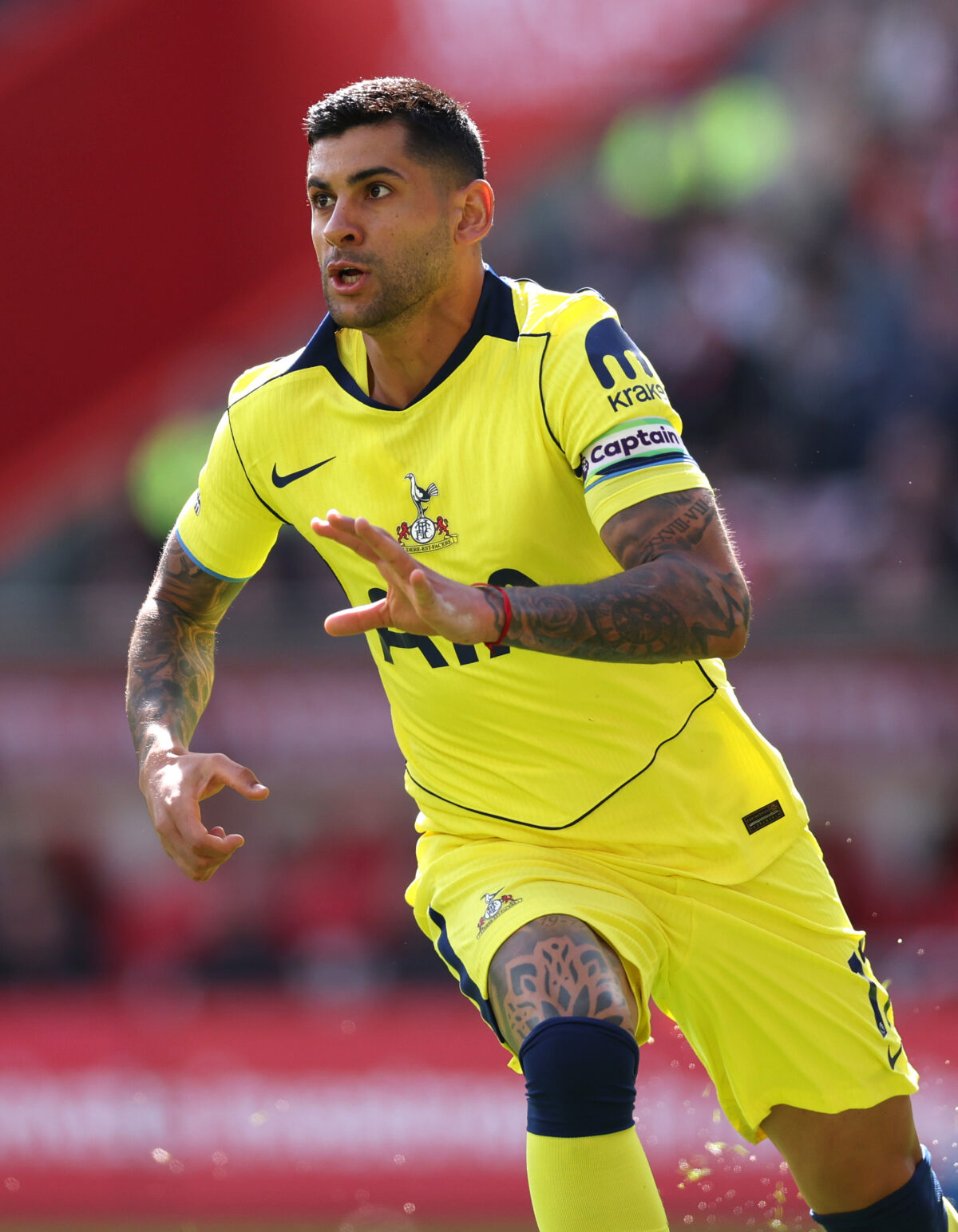 Sunderland v Tottenham Hotspur - Premier League