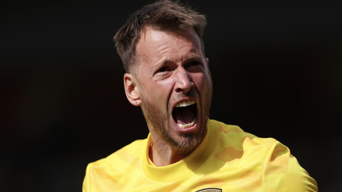 AFC Bournemouth v Newcastle United FC - Premier League