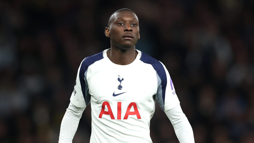 Tottenham Hotspur v Leeds United - Premier League